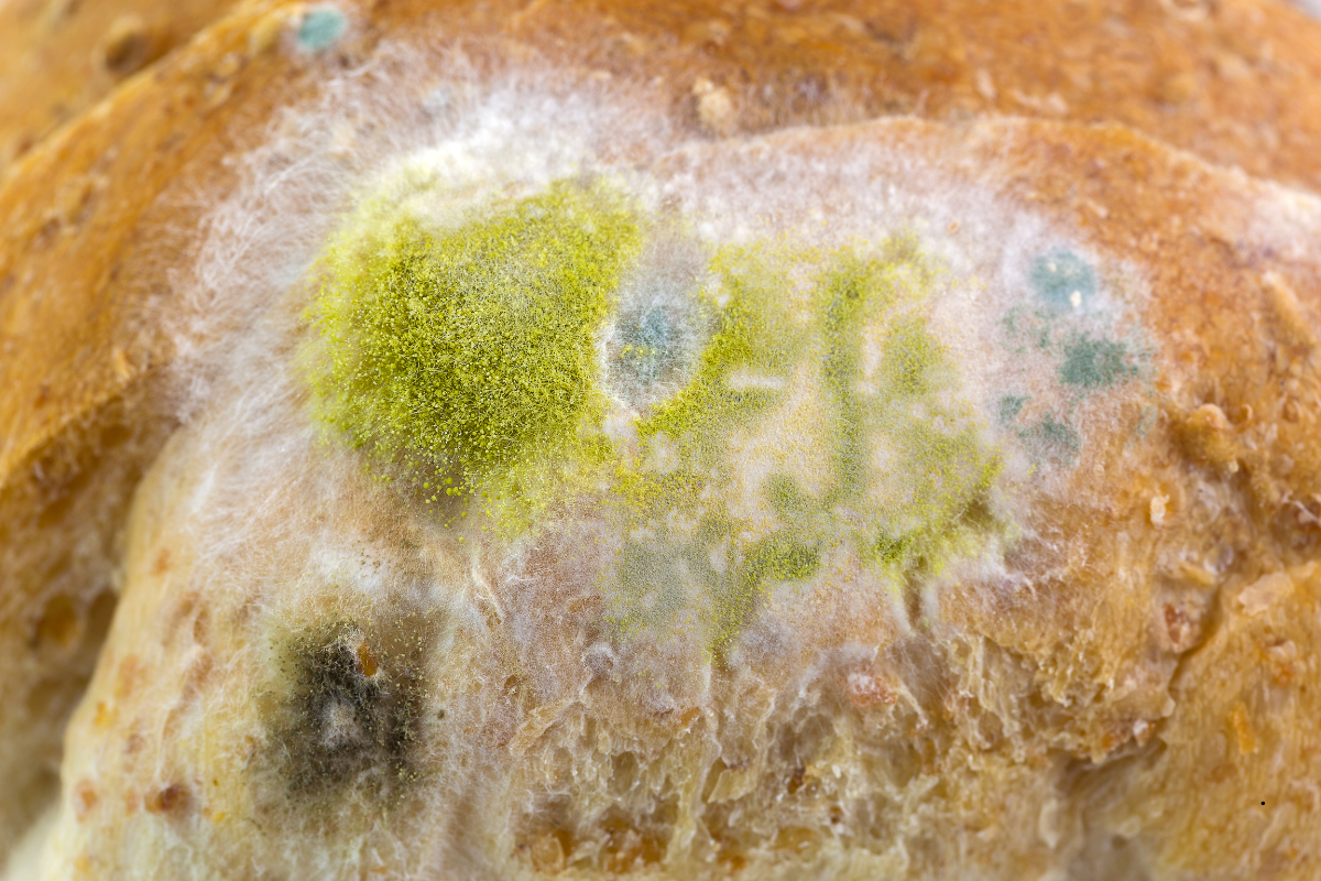 Untitled design - 2026-04-09T003926.292